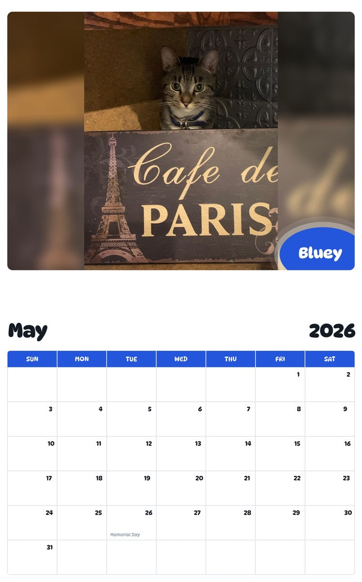 2026 - 2027 Bluey - Pawidols Pet Calendar