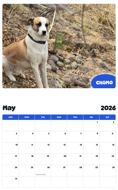 2026 - 2027 CHAMO - Pawidols Pet Calendar