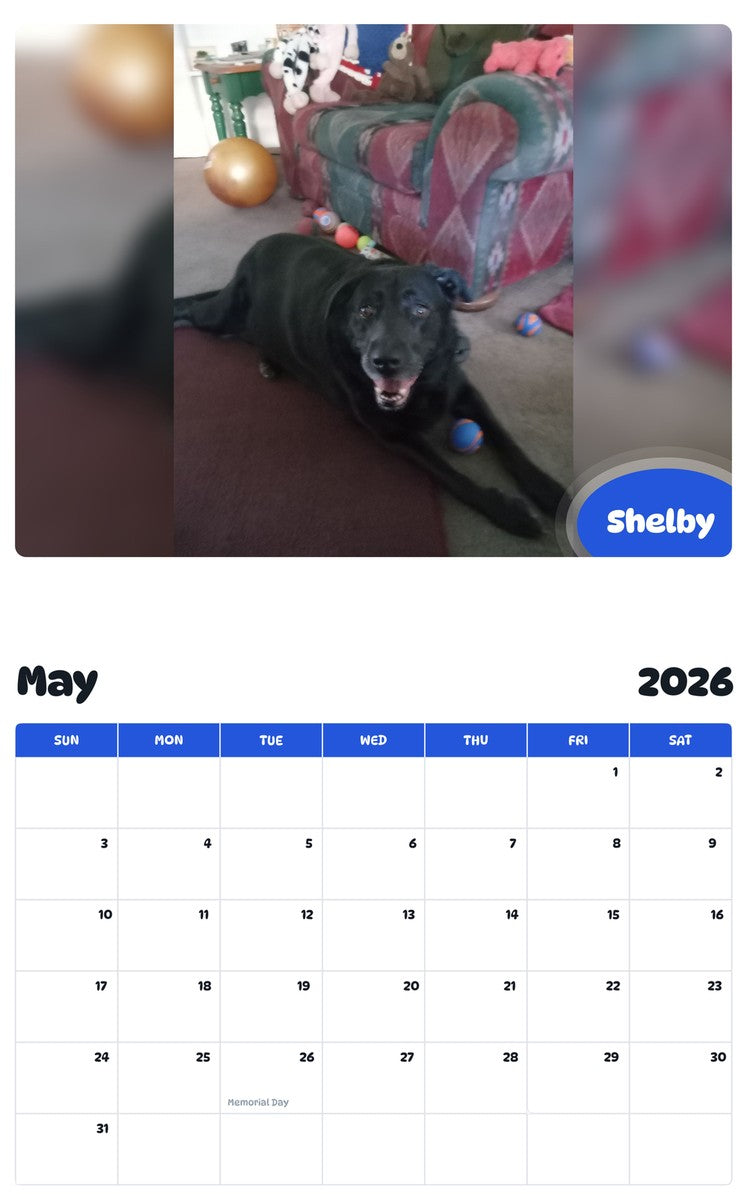 2026 - 2027 Shelby - Pawidols Pet Calendar