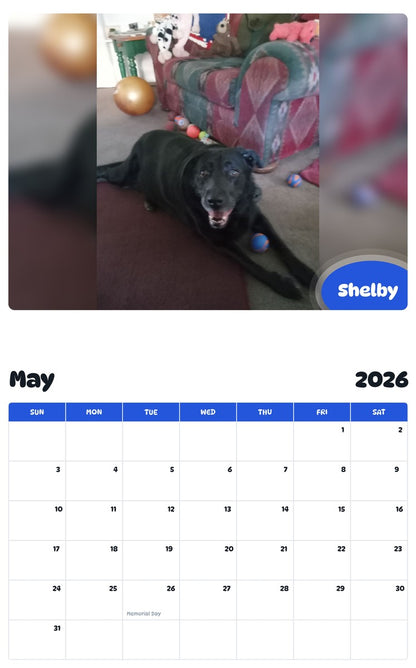 2026 - 2027 Shelby - Pawidols Pet Calendar