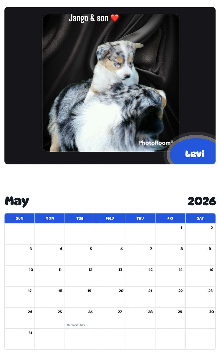 2026 - 2027 Levi - Pawidols Pet Calendar