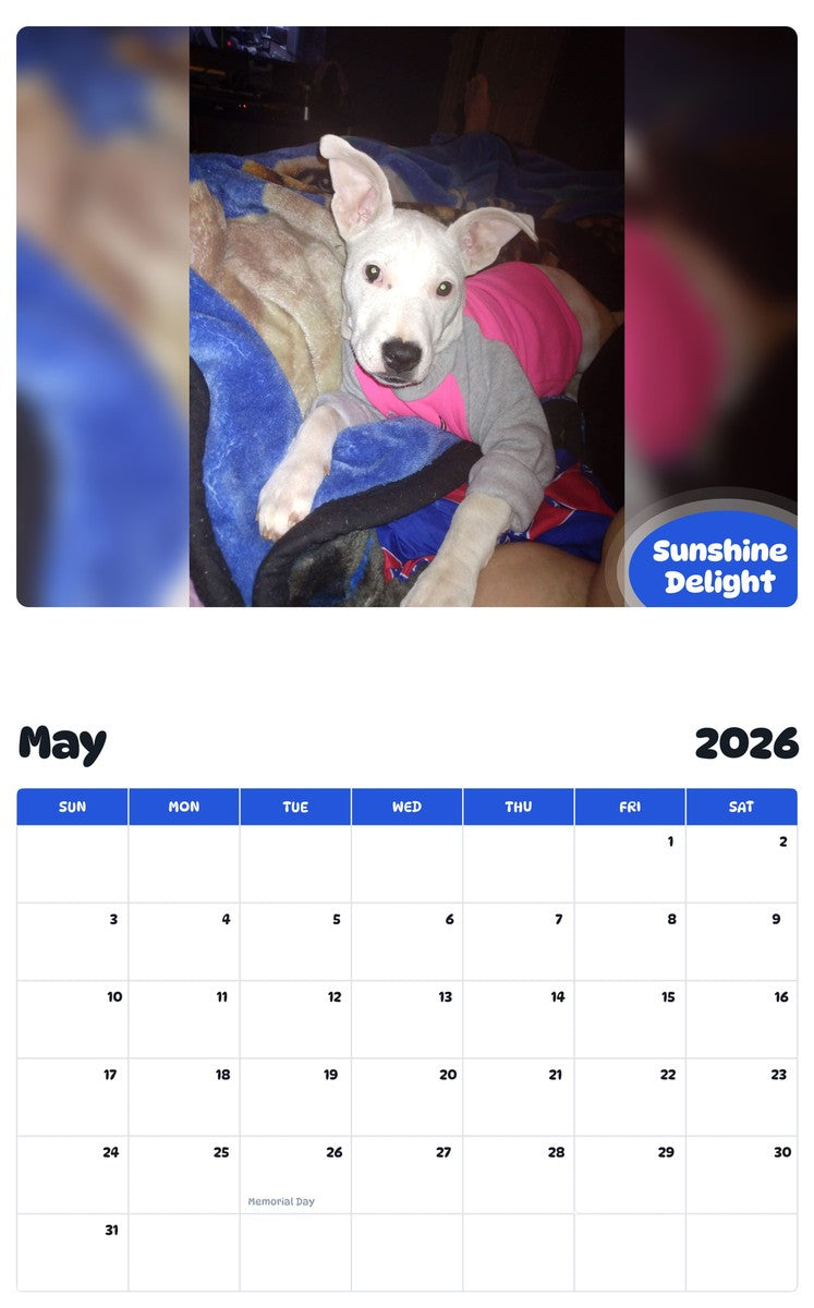 2026 - 2027 Sunshine Delight - Pawidols Pet Calendar