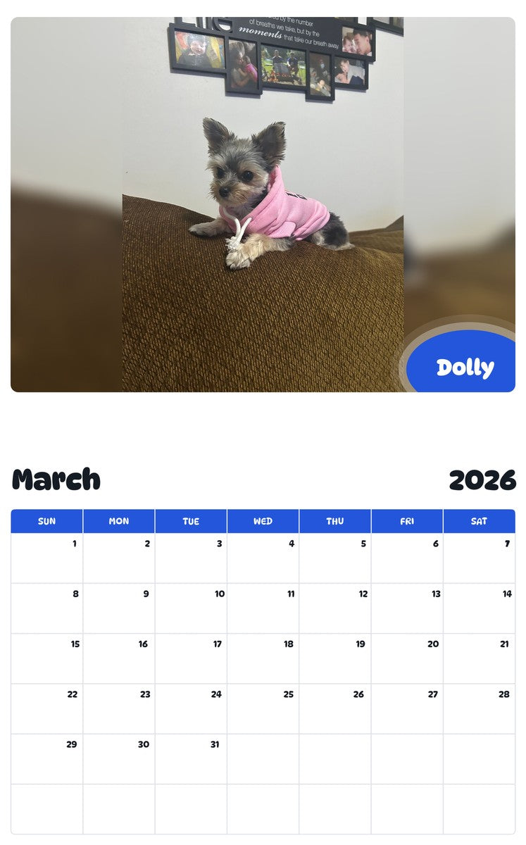 November 2025 - October 2026 Dolly - Pawidols Pet Calendar