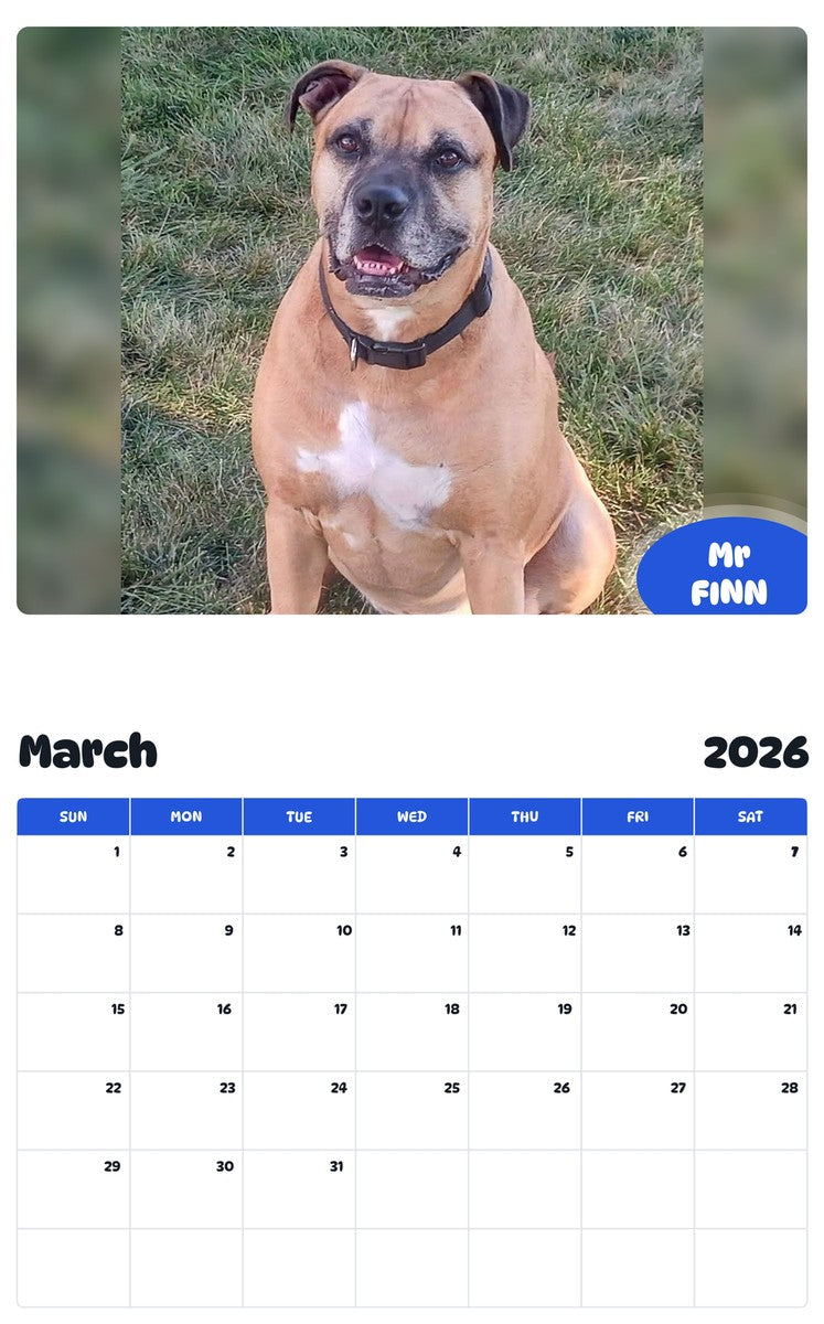 November 2025 - October 2026 Mr FINN - Pawidols Pet Calendar