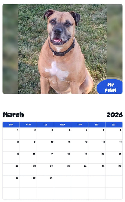 November 2025 - October 2026 Mr FINN - Pawidols Pet Calendar