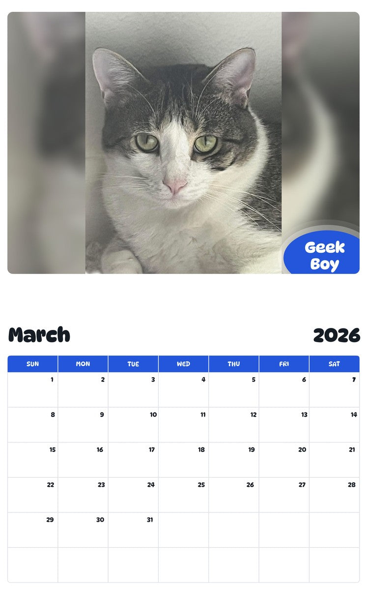 November 2025 - October 2026 Geek Boy - Pawidols Pet Calendar
