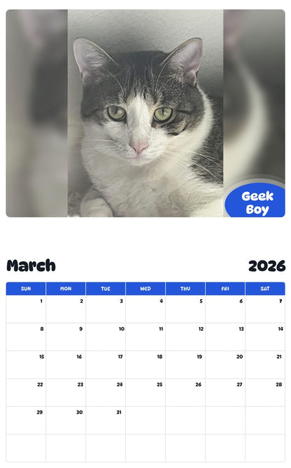 November 2025 - October 2026 Geek Boy - Pawidols Pet Calendar