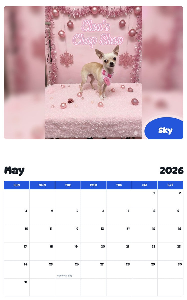 2026 - 2027 Sky - Pawidols Pet Calendar