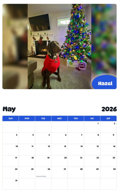 2026 - 2027 Hazel - Pawidols Pet Calendar