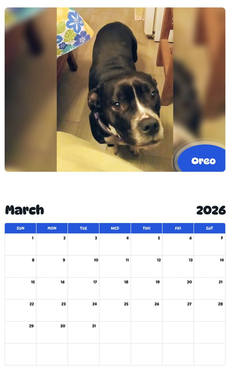November 2025 - October 2026 Oreo - Pawidols Pet Calendar