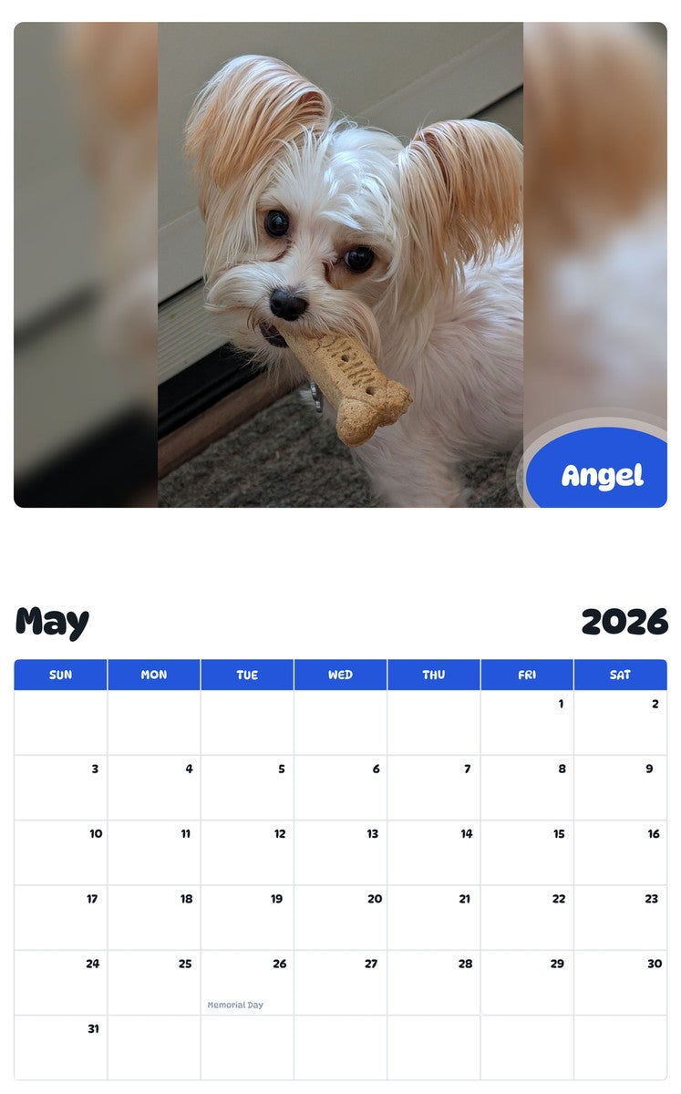 2026 - 2027 Angel - Pawidols Pet Calendar