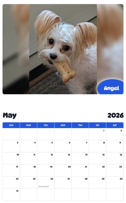 2026 - 2027 Angel - Pawidols Pet Calendar