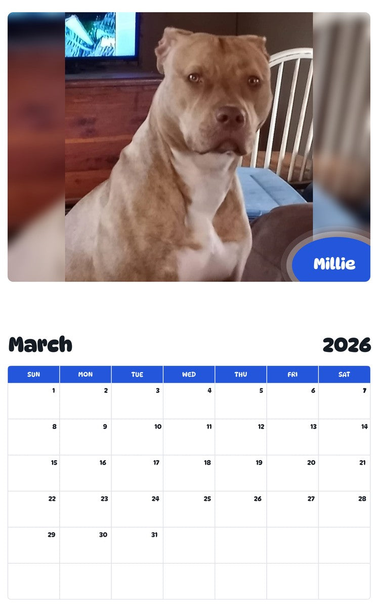 November 2025 - October 2026 Millie - Pawidols Pet Calendar