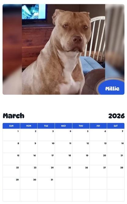 November 2025 - October 2026 Millie - Pawidols Pet Calendar