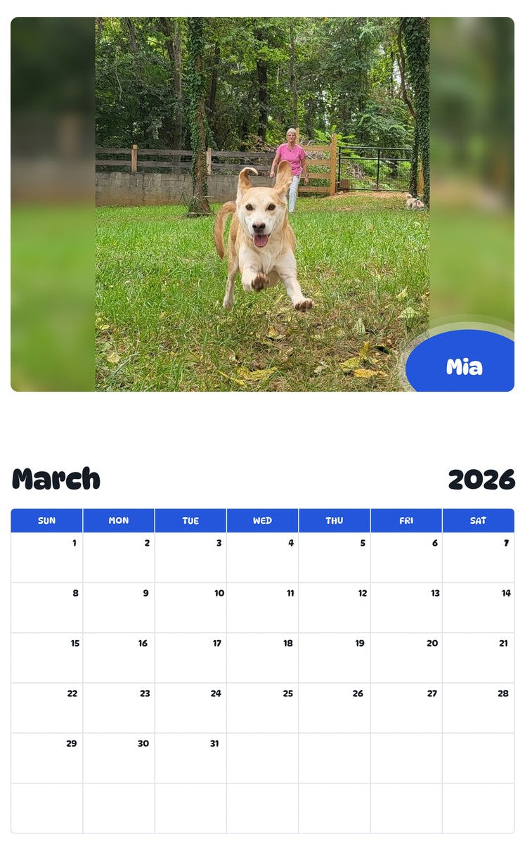 November 2025 - October 2026 Mia - Pawidols Pet Calendar
