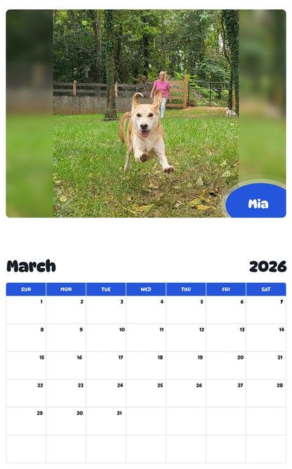 November 2025 - October 2026 Mia - Pawidols Pet Calendar