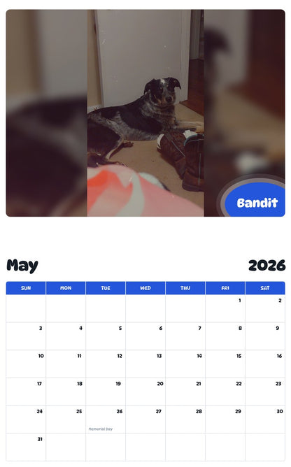 2026 - 2027 Bandit - Pawidols Pet Calendar