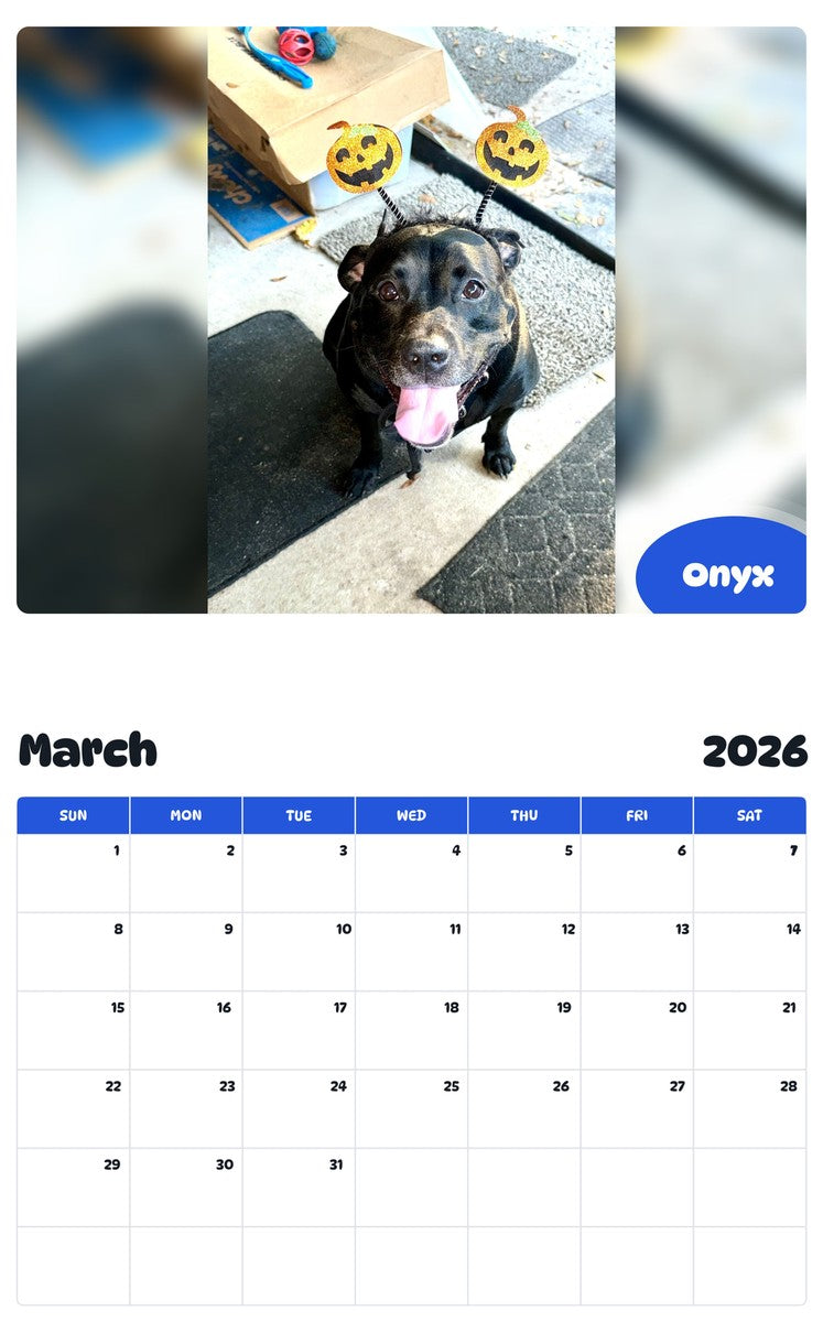 November 2025 - October 2026 Onyx - Pawidols Pet Calendar