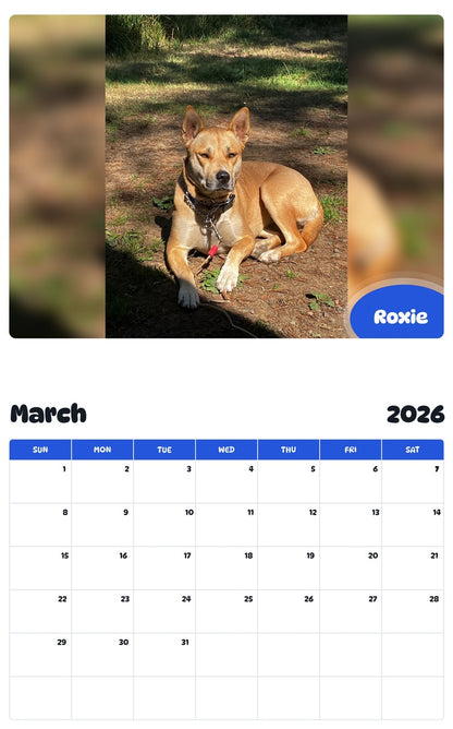 November 2025 - October 2026 Roxie - Pawidols Pet Calendar