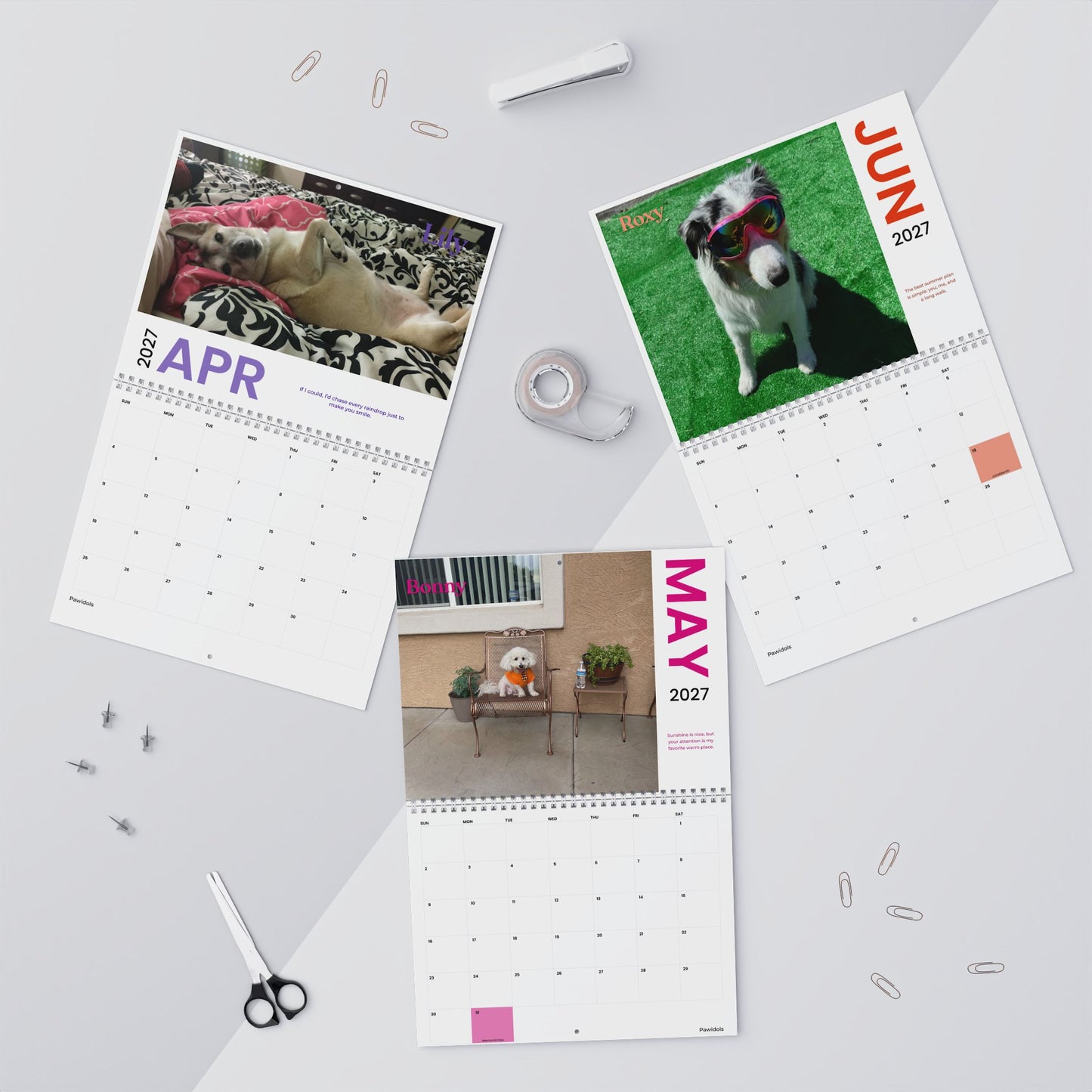 NEW Paw Calendar DOG October 2026 - September 2027
