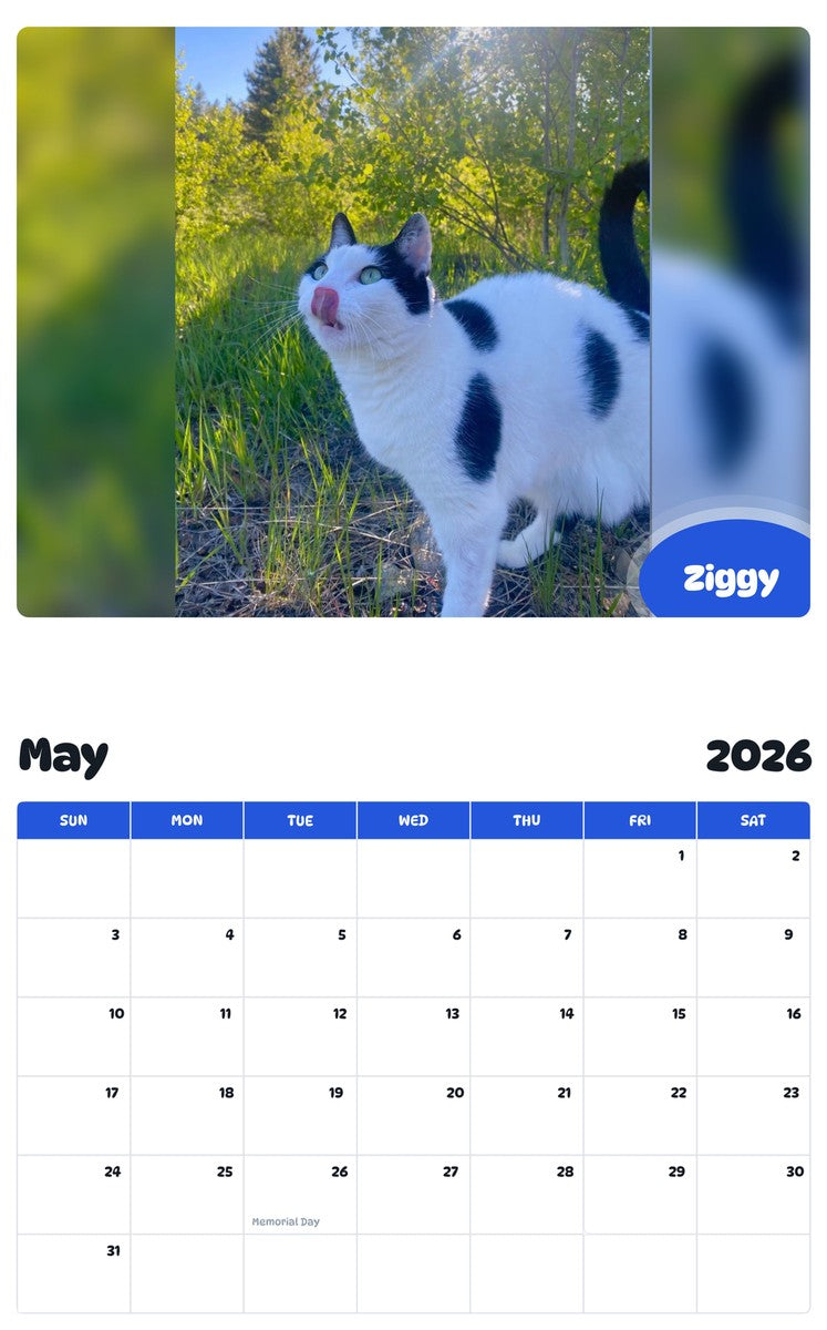 2026 - 2027 Ziggy - Pawidols Pet Calendar