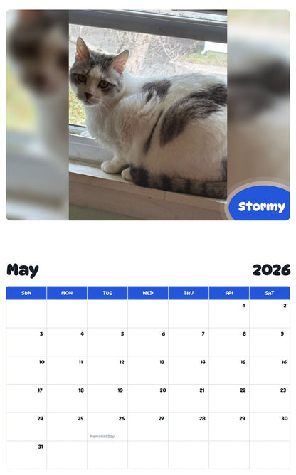 2026 - 2027 Stormy - Pawidols Pet Calendar