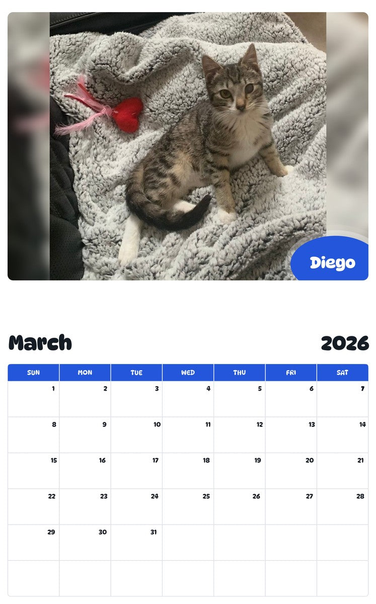 November 2025 - October 2026 Diego - Pawidols Pet Calendar