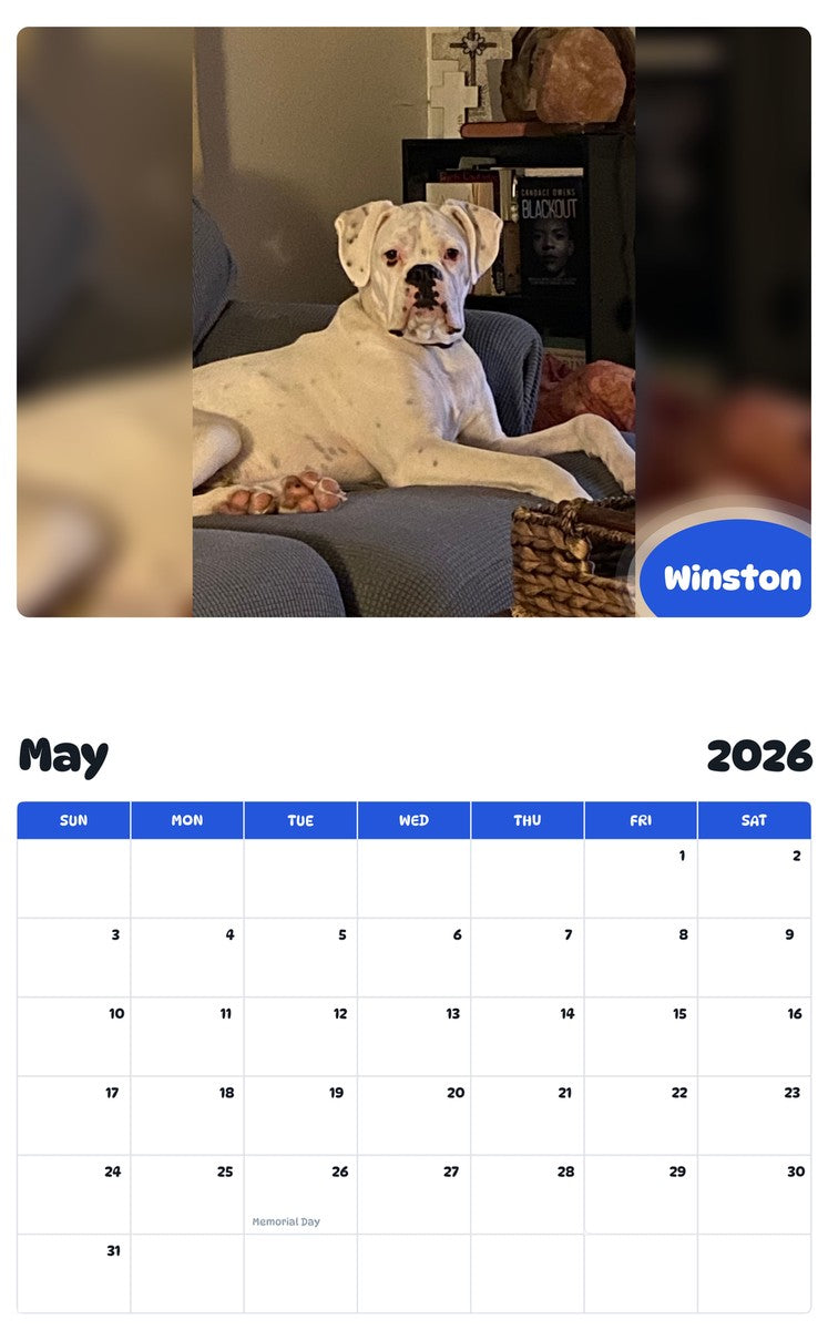 2026 - 2027 Winston - Pawidols Pet Calendar