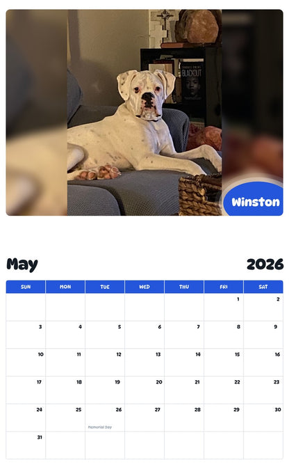 2026 - 2027 Winston - Pawidols Pet Calendar