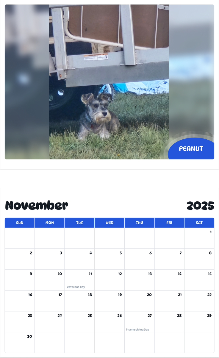 July 2025 - June 2026 Peanut - Pawidols Pet Calendar