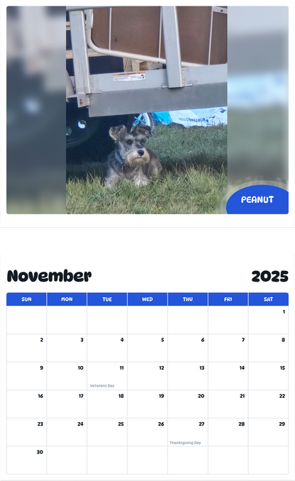 July 2025 - June 2026 Peanut - Pawidols Pet Calendar
