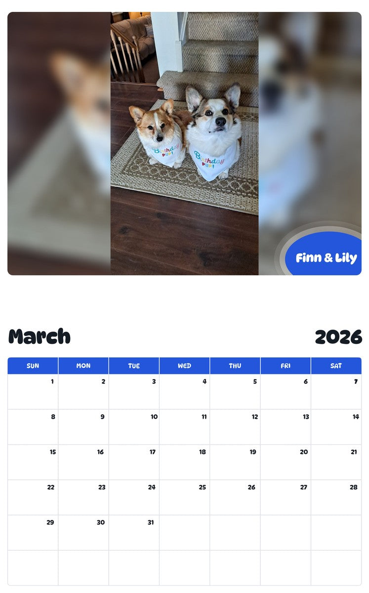 November 2025 - October 2026 Finn & Lily - Pawidols Pet Calendar