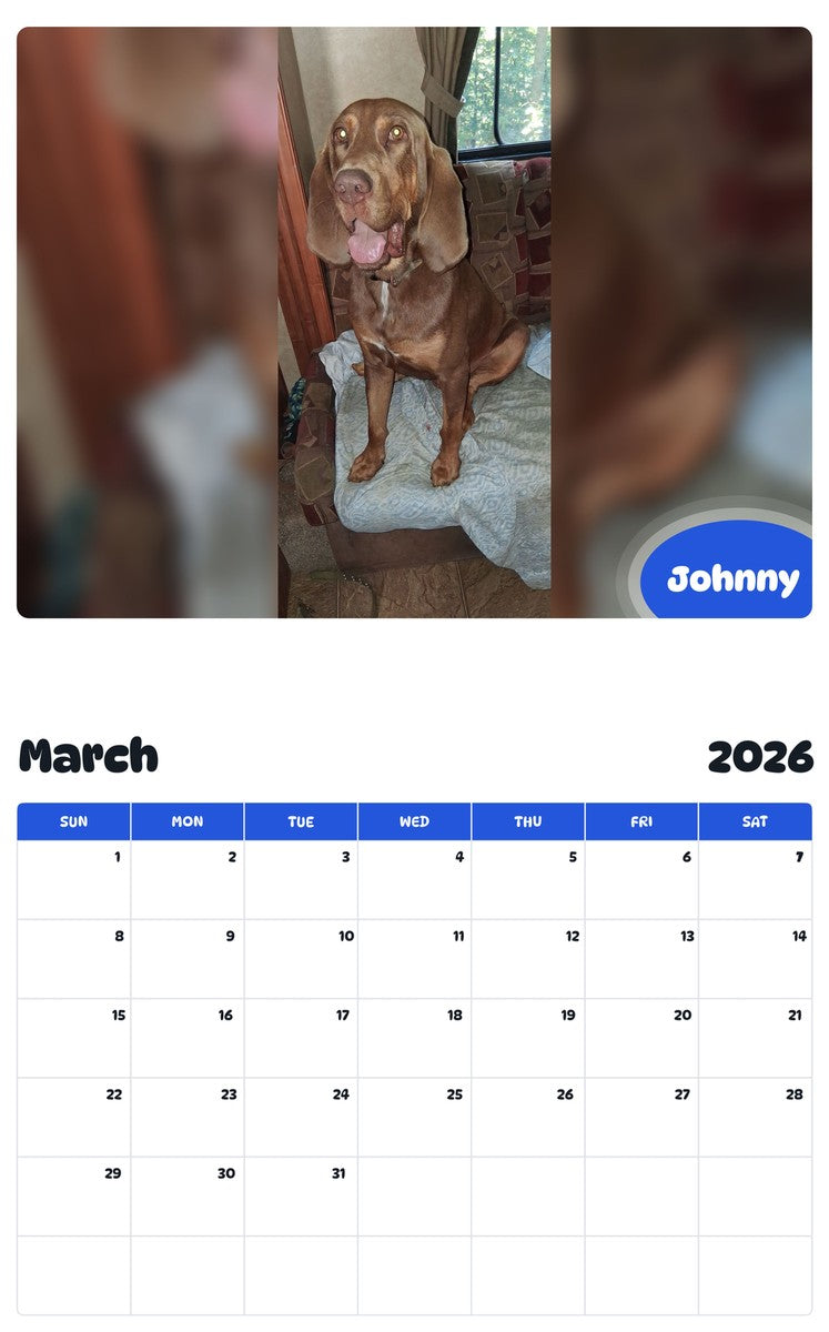 November 2025 - October 2026 Johnny - Pawidols Pet Calendar