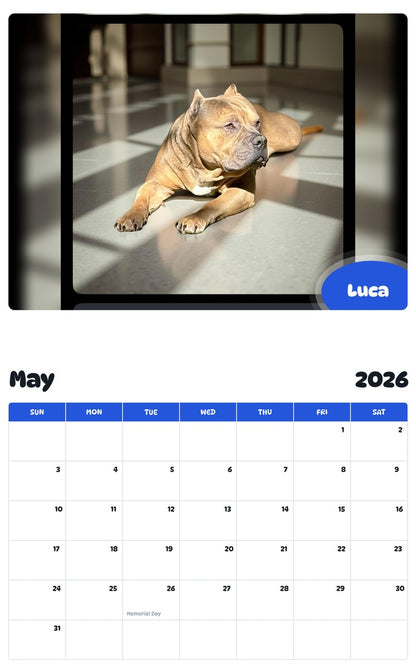 2026 - 2027 Luca - Pawidols Pet Calendar