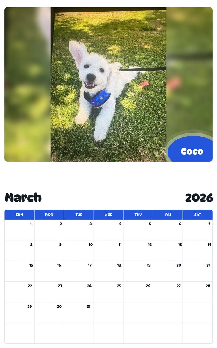 November 2025 - October 2026 Coco - Pawidols Pet Calendar