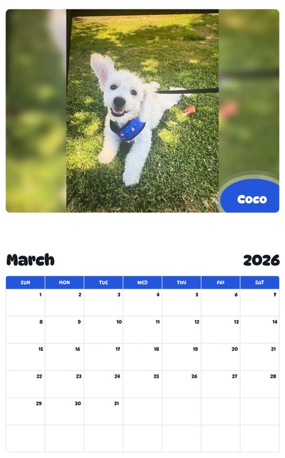 November 2025 - October 2026 Coco - Pawidols Pet Calendar