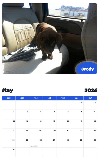 2026 - 2027 Brody - Pawidols Pet Calendar