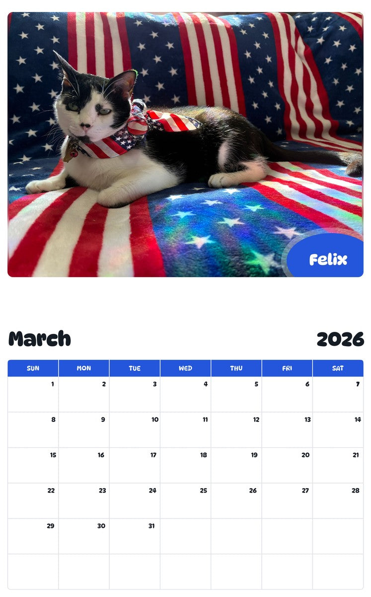 November 2025 - October 2026 Felix - Pawidols Pet Calendar