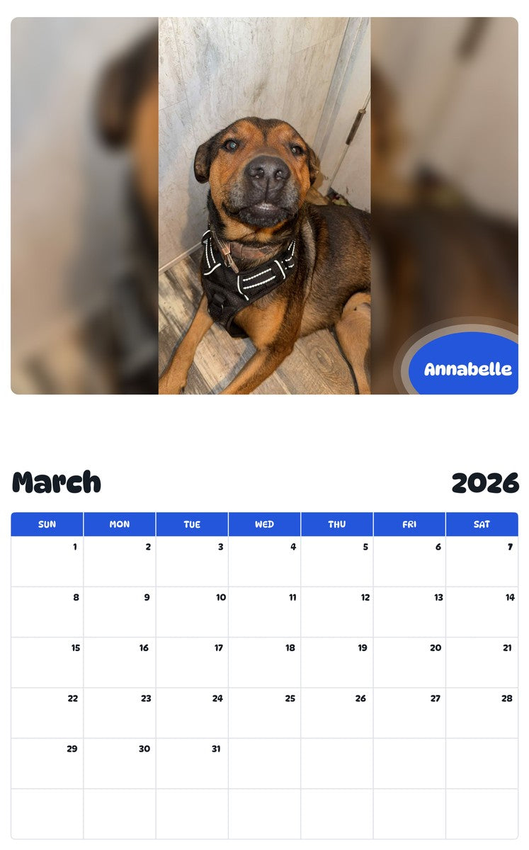 November 2025 - October 2026 Annabelle - Pawidols Pet Calendar