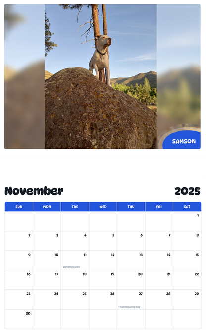 July 2025 - June 2026 Samson - Pawidols Pet Calendar