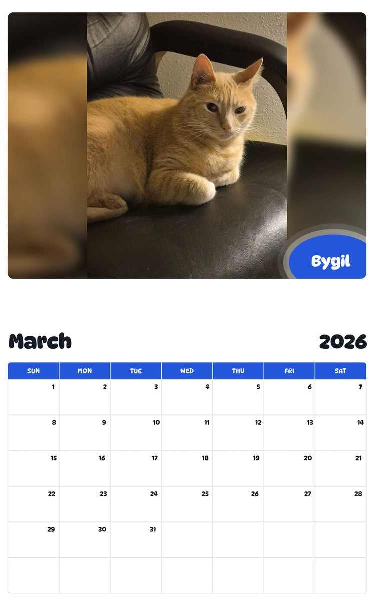 November 2025 - October 2026 Bygil - Pawidols Pet Calendar