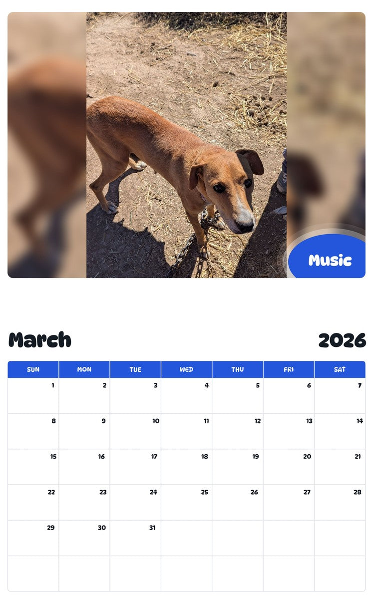 November 2025 - October 2026 Music - Pawidols Pet Calendar