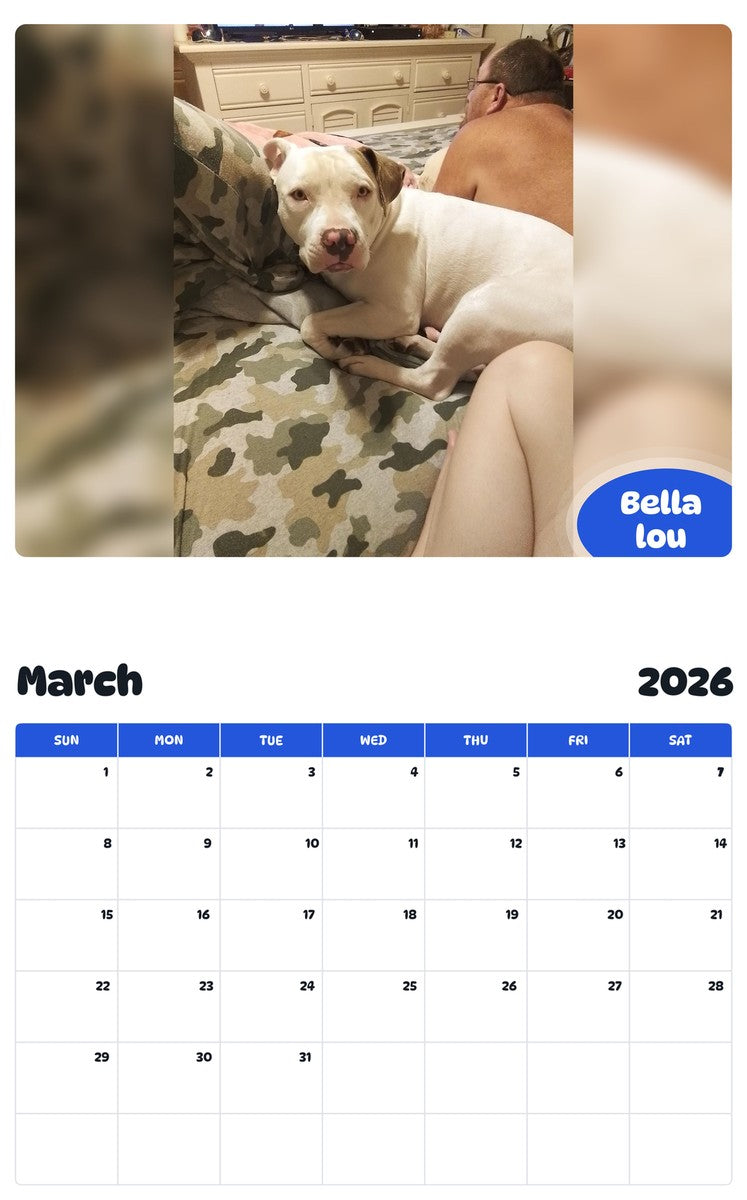 November 2025 - October 2026 Bella lou - Pawidols Pet Calendar