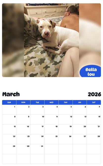 November 2025 - October 2026 Bella lou - Pawidols Pet Calendar