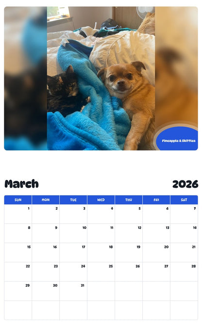 November 2025 - October 2026 Pineapple & Skittles - Pawidols Pet Calendar