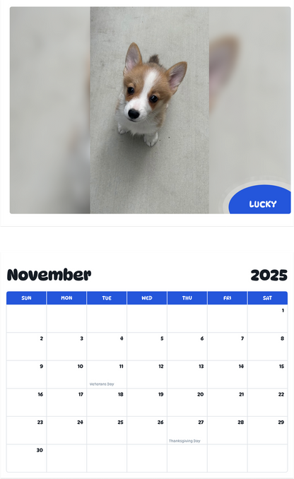 July 2025 - June 2026 Lucky - Pawidols Pet Calendar