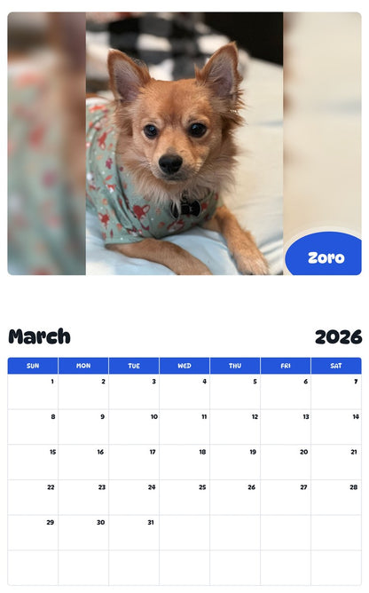 November 2025 - October 2026 Zoro - Pawidols Pet Calendar