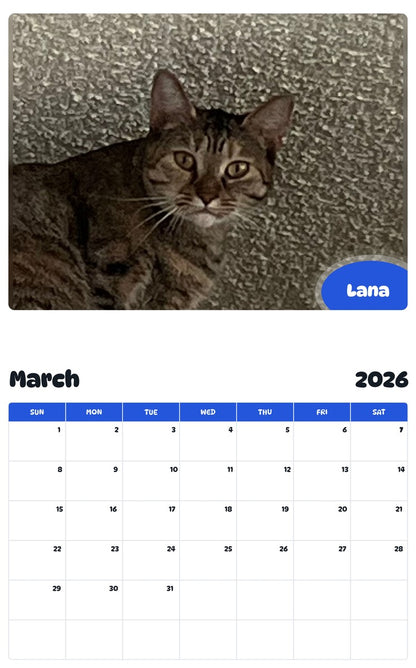 November 2025 - October 2026 Lana - Pawidols Pet Calendar