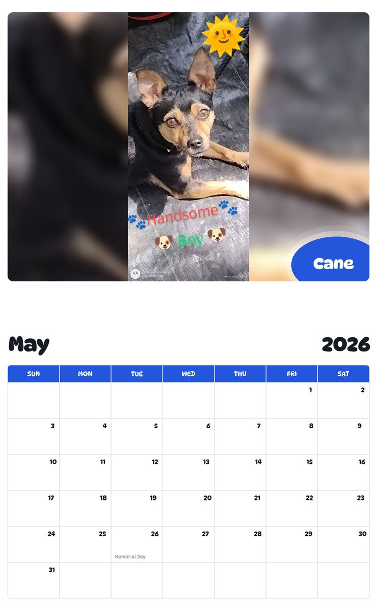 2026 - 2027 Cane - Pawidols Pet Calendar