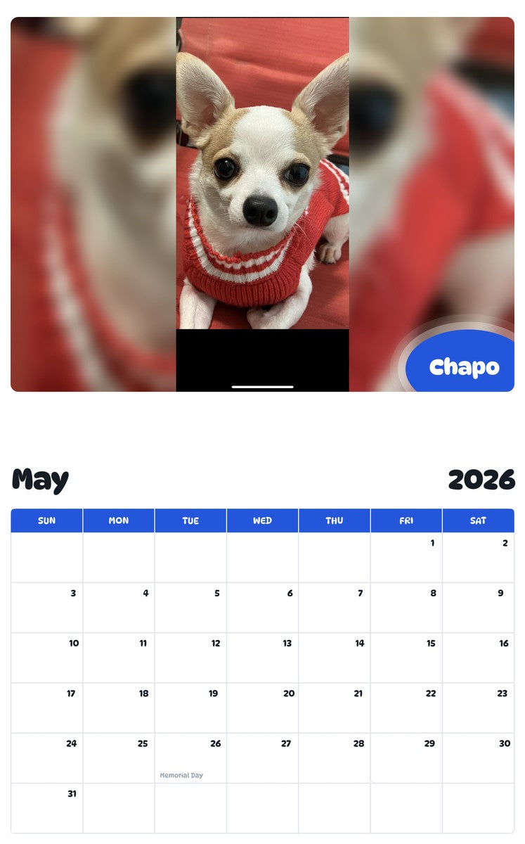 2026 - 2027 Chapo - Pawidols Pet Calendar